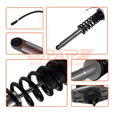 قطعات خودرو 248256 کیت‌های کمک فنر فنر تعلیق کمک فنر عقب کمک فنر القایی برای مازراتی کواتروپورته M139 2007-